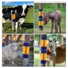 Purificateur pour les animaux de compagnie