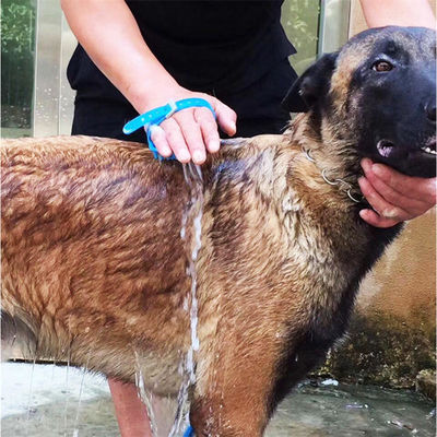 Brosses de nettoyage en silicone pour chiens