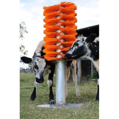435 ou 510 mm pinceau de vache Pp Nylon pour le grattage et le toilettage des vaches