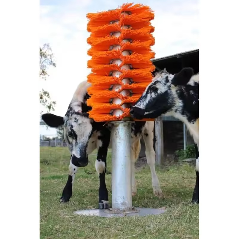 435 ou 510 mm pinceau de vache Pp Nylon pour le grattage et le toilettage des vaches